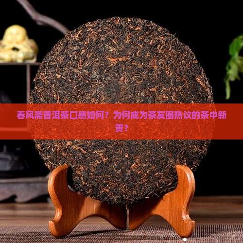 春风斋普洱茶口感如何？为何成为茶友圈热议的茶中新贵？