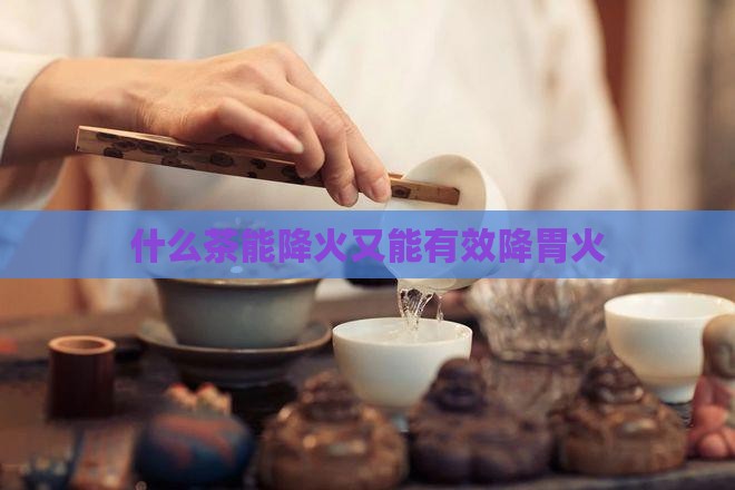 什么茶能降火又能有效降胃火