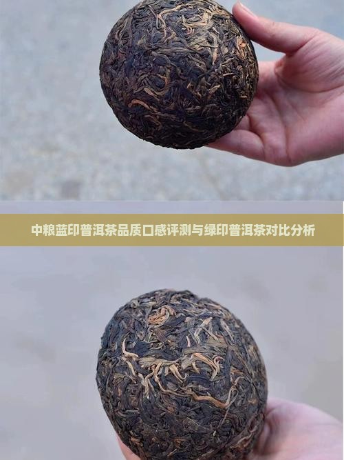 中粮蓝印普洱茶品质口感评测与绿印普洱茶对比分析