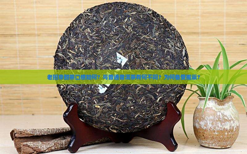 老班章甜茶口感如何？与普通普洱茶有何不同？为何备受推崇？
