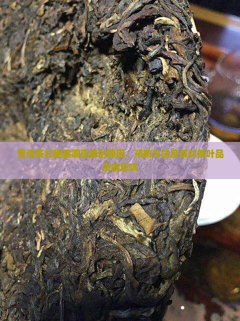 普洱茶红梗萎凋现象的原因、预防方法及其对茶叶品质的影响