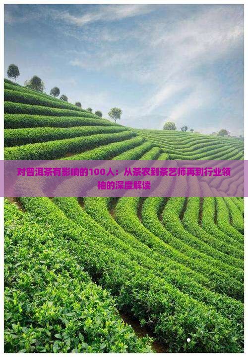 对普洱茶有影响的100人：从茶农到茶艺师再到行业领袖的深度解读