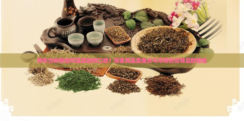 邦东古树茶如何呈现独特口感？探索其品质痛点与市场热词背后的秘密