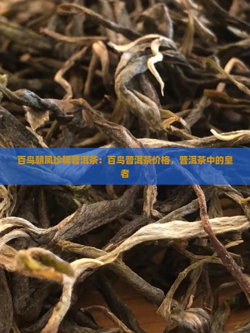百鸟朝凤珍稀普洱茶：百鸟普洱茶价格，普洱茶中的皇者