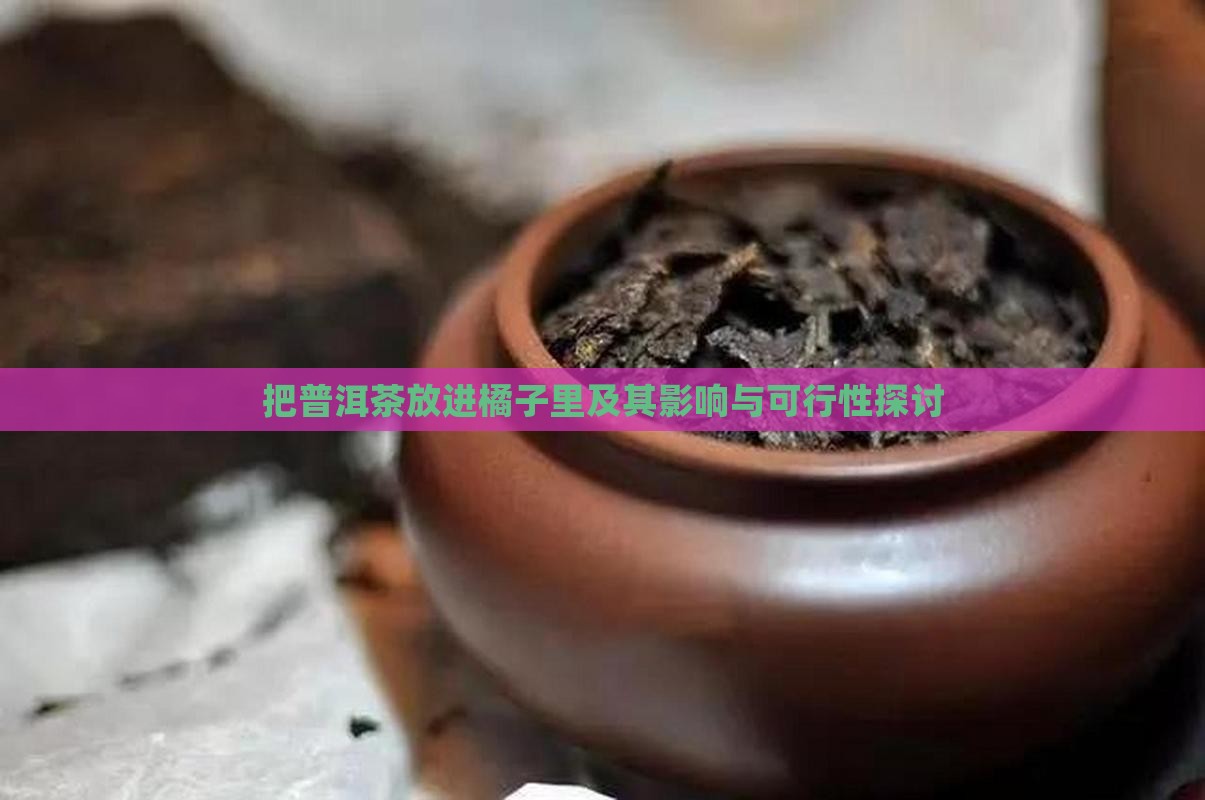把普洱茶放进橘子里及其影响与可行性探讨
