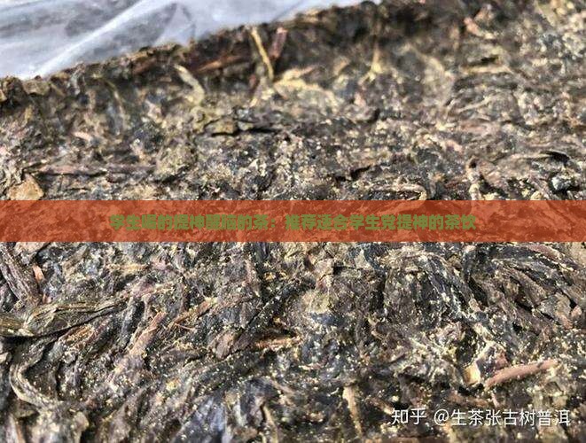 学生喝的提神醒脑的茶：推荐适合学生党提神的茶饮