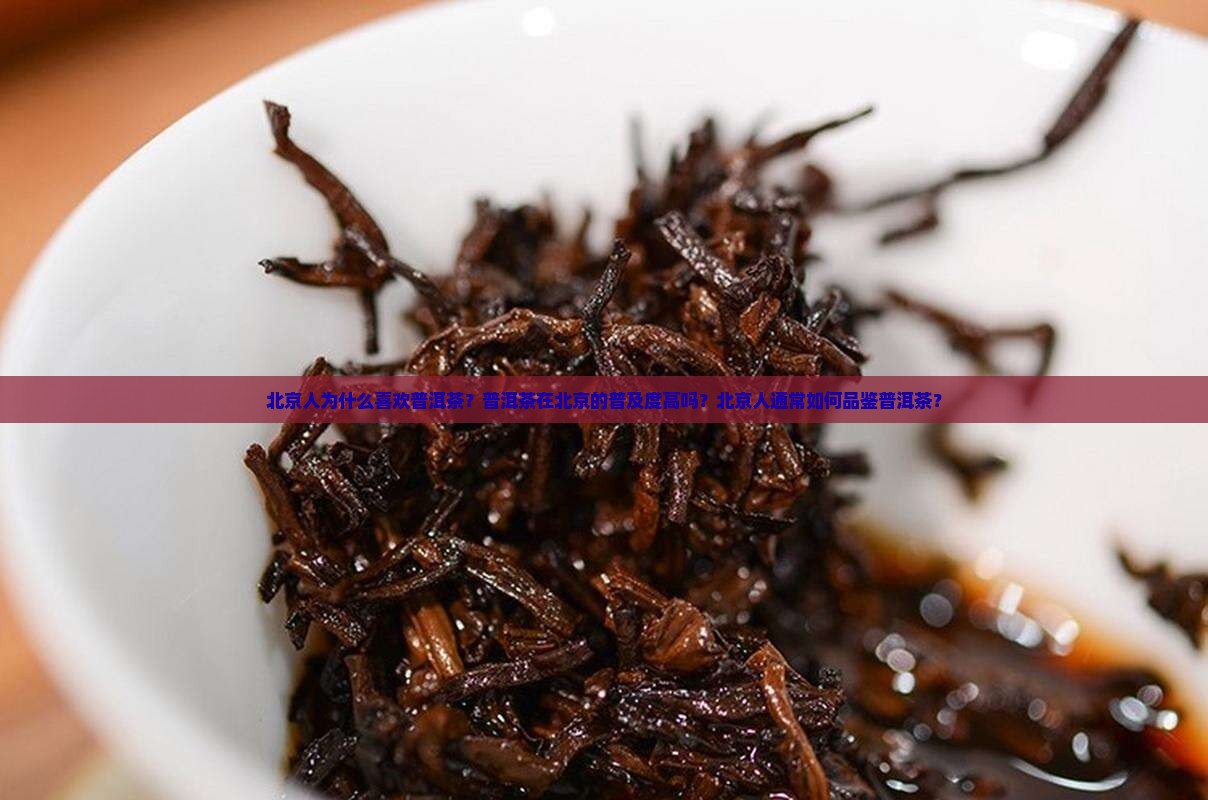 北京人为什么喜欢普洱茶？普洱茶在北京的普及度高吗？北京人通常如何品鉴普洱茶？