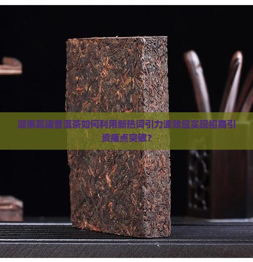 湖南高端普洱茶如何利用新热词引力波效应实现招商引资痛点突破？