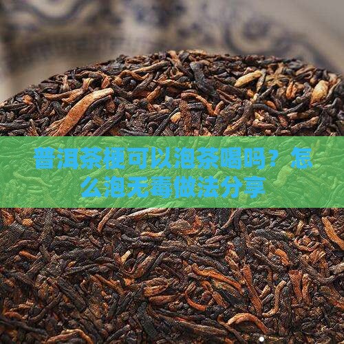 普洱茶梗可以泡茶喝吗？怎么泡无毒做法分享