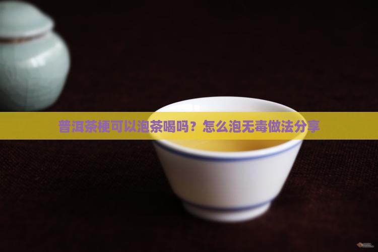 普洱茶梗可以泡茶喝吗？怎么泡无毒做法分享
