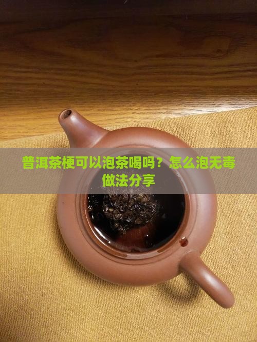 普洱茶梗可以泡茶喝吗？怎么泡无毒做法分享