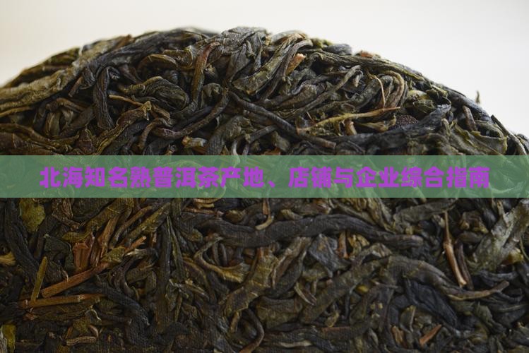 北海知名熟普洱茶产地、店铺与企业综合指南