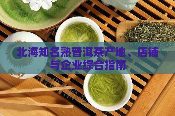 北海知名熟普洱茶产地、店铺与企业综合指南
