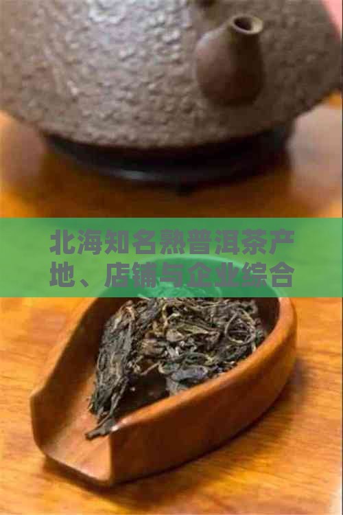 北海知名熟普洱茶产地、店铺与企业综合指南