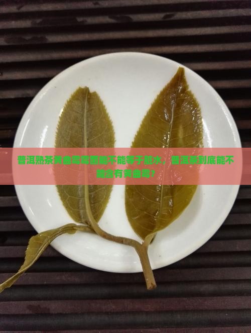 普洱熟茶黄曲霉霉菌能不能等于脏水，普洱茶到底能不能含有黄曲霉？