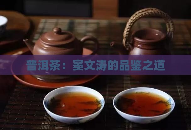 普洱茶：窦文涛的品鉴之道