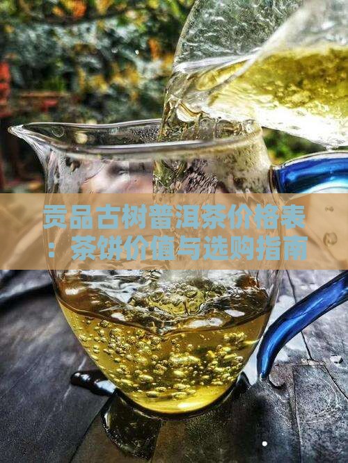 贡品古树普洱茶价格表：茶饼价值与选购指南