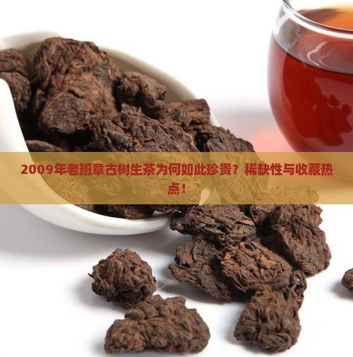 2009年老班章古树生茶为何如此珍贵？稀缺性与收藏热点！