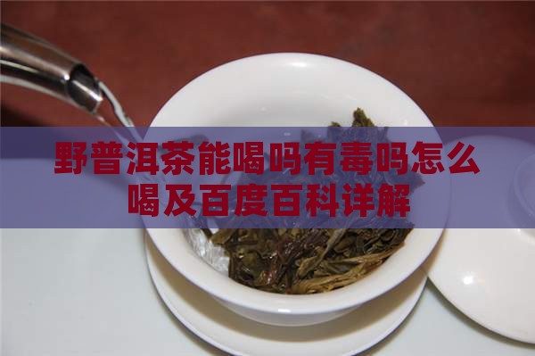 野普洱茶能喝吗有毒吗怎么喝及百度百科详解