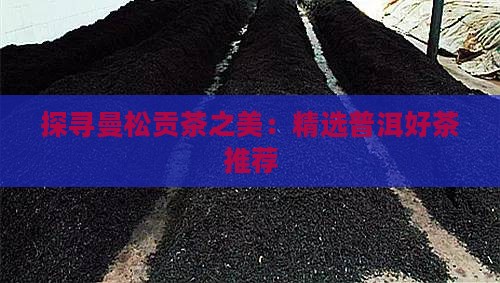 探寻曼松贡茶之美：精选普洱好茶推荐