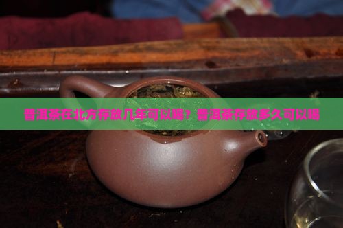 普洱茶在北方存放几年可以喝？普洱茶存放多久可以喝
