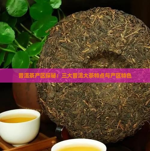 普洱茶产区探秘：三大普洱大茶特点与产区特色