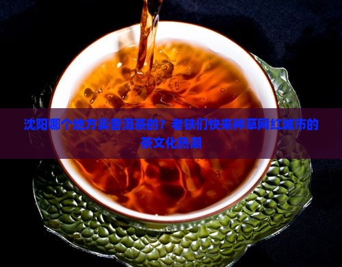 沈阳哪个地方卖普洱茶的？老铁们快来种草网红城市的茶文化热潮