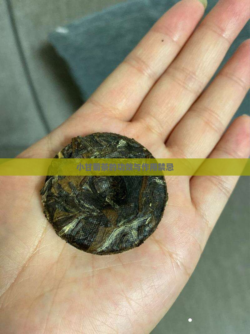 小甘菊茶的功效与作用禁忌