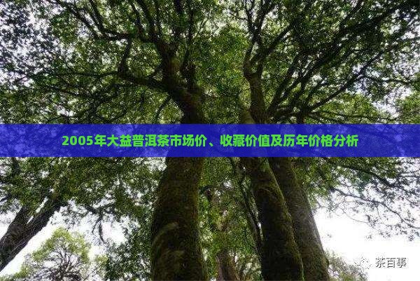 2005年大益普洱茶市场价、收藏价值及历年价格分析