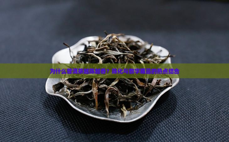 为什么普洱茶越陈越香？陈化与数字藏品的热点结合