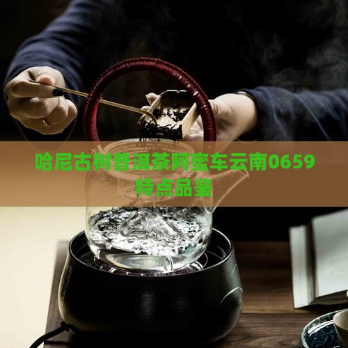 哈尼古树普洱茶阿蜜车云南0659特点品鉴