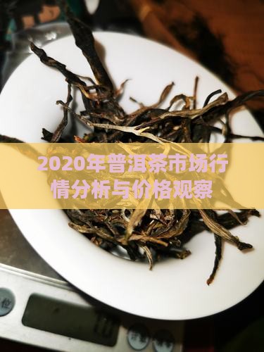 2020年普洱茶市场行情分析与价格观察
