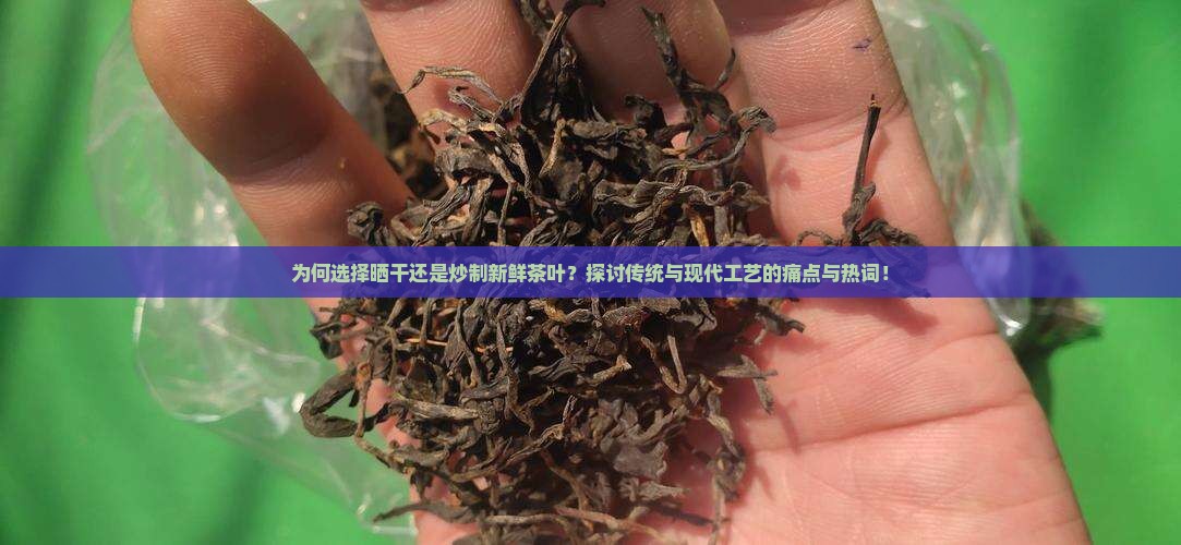 为何选择晒干还是炒制新鲜茶叶？探讨传统与现代工艺的痛点与热词！