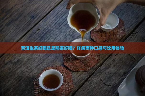 普洱生茶好喝还是熟茶好喝？详解两种口感与饮用体验