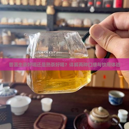 普洱生茶好喝还是熟茶好喝？详解两种口感与饮用体验