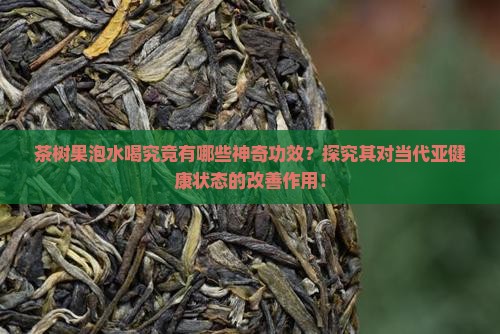 茶树果泡水喝究竟有哪些神奇功效？探究其对当代亚健康状态的改善作用！