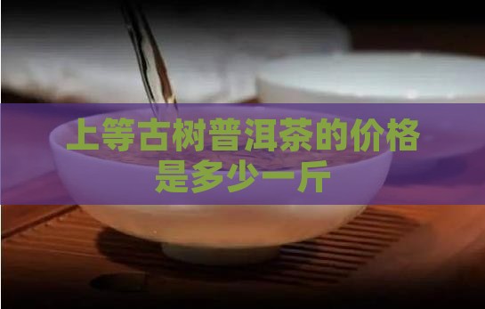 上等古树普洱茶的价格是多少一斤