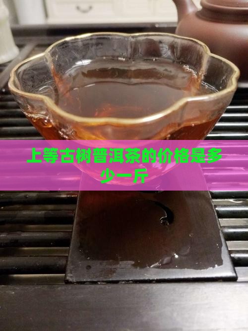上等古树普洱茶的价格是多少一斤