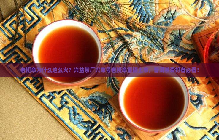 老班章为什么这么火？兴益茶厂兴荣号老班章重磅上市，普洱茶爱好者必看！