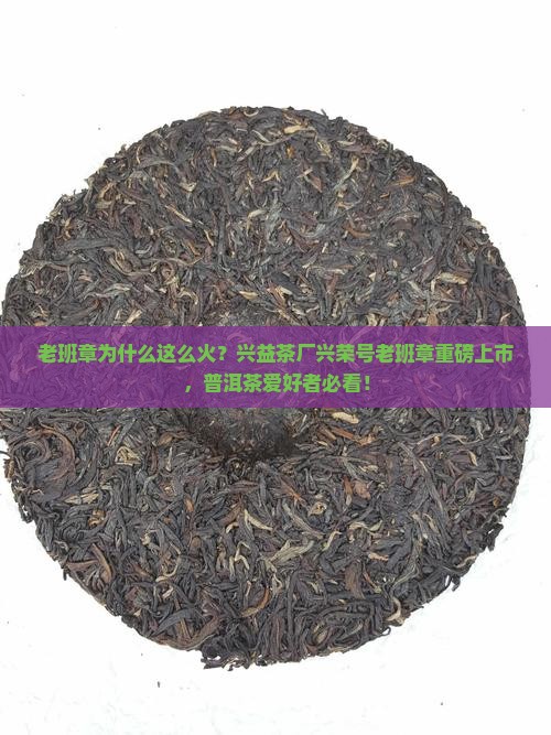 老班章为什么这么火？兴益茶厂兴荣号老班章重磅上市，普洱茶爱好者必看！
