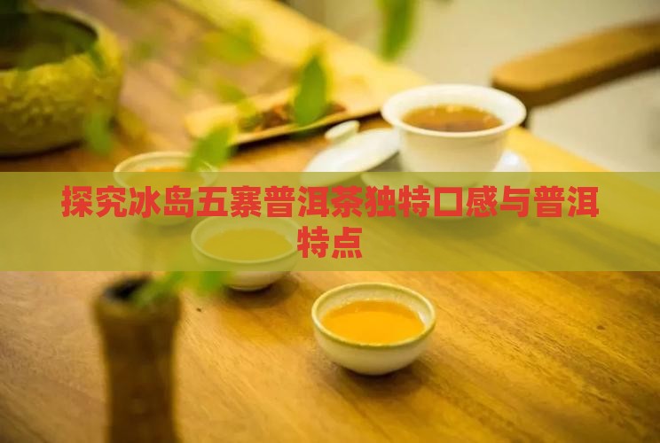 探究冰岛五寨普洱茶独特口感与普洱特点
