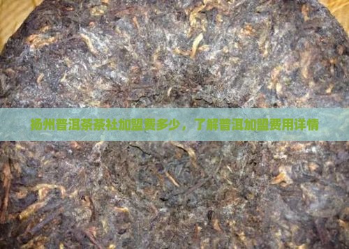 扬州普洱茶茶社加盟费多少，了解普洱加盟费用详情