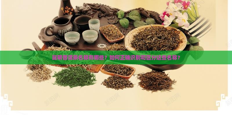 昆明普洱茶名称有哪些？如何正确识别和区分这些名称？