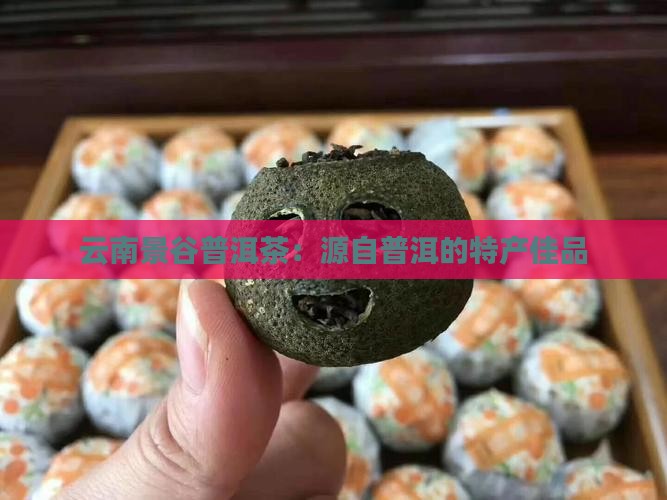 云南景谷普洱茶：源自普洱的特产佳品