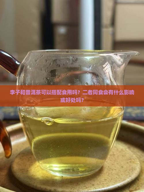 李子和普洱茶可以搭配食用吗？二者同食会有什么影响或好处吗？