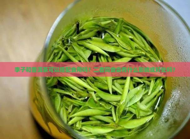 李子和普洱茶可以搭配食用吗？二者同食会有什么影响或好处吗？