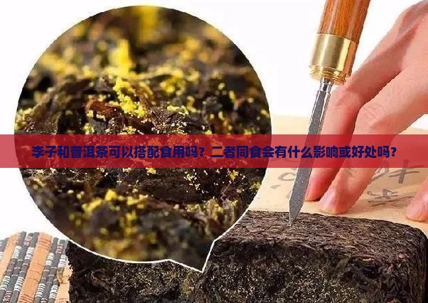 李子和普洱茶可以搭配食用吗？二者同食会有什么影响或好处吗？