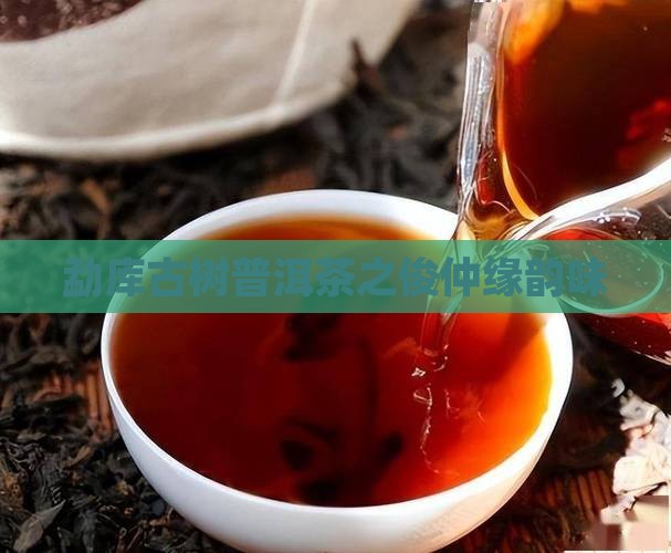 勐库古树普洱茶之俊仲缘韵味