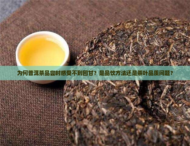 为何普洱茶品尝时感受不到回甘？是品饮方法还是茶叶品质问题？