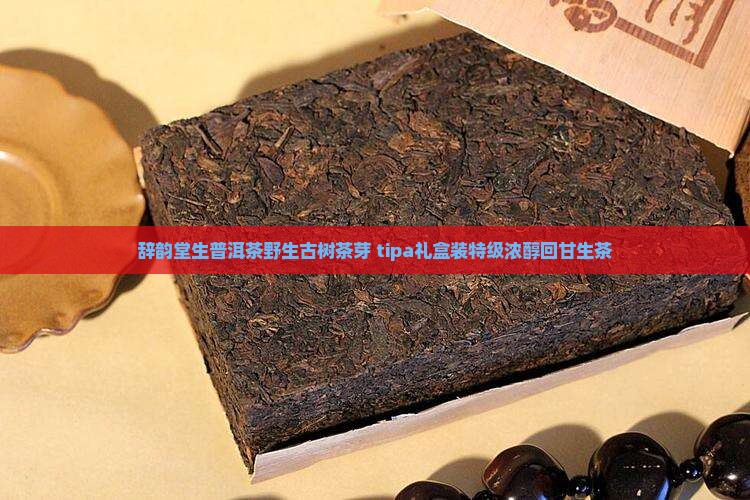 辞韵堂生普洱茶野生古树茶芽 tipa礼盒装特级浓醇回甘生茶